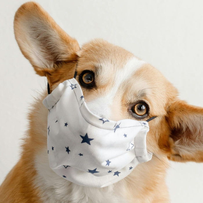 Managing Health Care Costs for Your Dog: Tips and Solutions