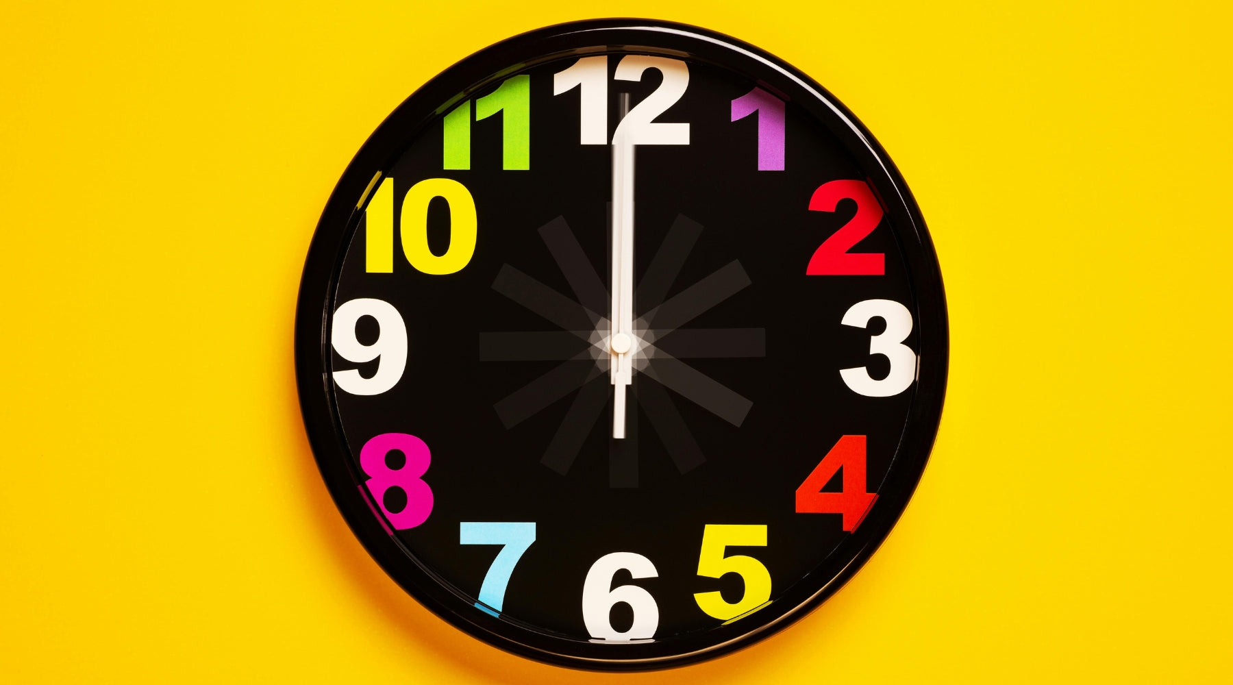 The Time Commitment Dogs Require: What Every Owner Should Know