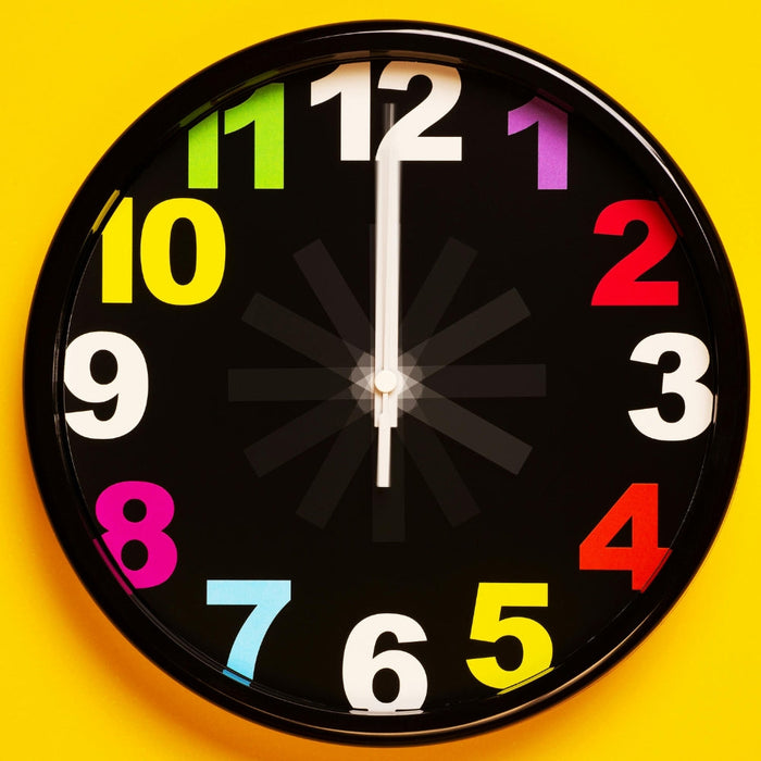 The Time Commitment Dogs Require: What Every Owner Should Know
